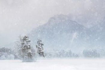 平安重疾險(xiǎn)退保第一年退多少錢