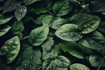 意外保險(xiǎn)退保怎樣可以退全款