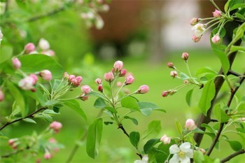 保險(xiǎn)不退保會(huì)不會(huì)影響信用