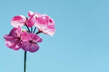 健康保險能退保嗎能退多少錢
