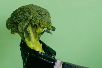 達(dá)爾文5號(hào)和超級(jí)瑪麗5號(hào)