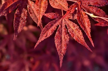全民保退保損失多少錢