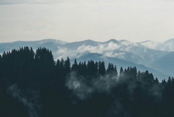 信泰如意尊是哪個保險公司
