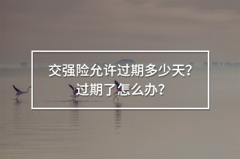 交強險允許過期多少天