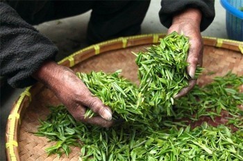 哪一種保險(xiǎn)最實(shí)用