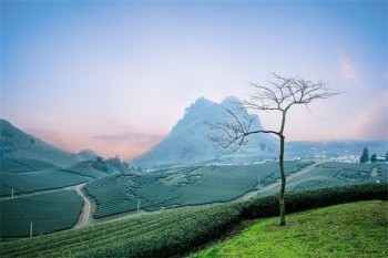 買保險(xiǎn)應(yīng)該怎么買
