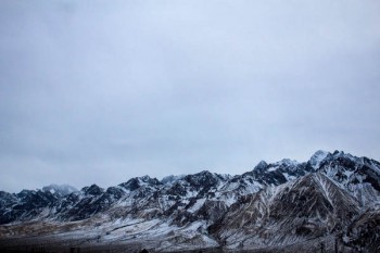 兩年保險退保怎樣損失最??？兩年保險退保規(guī)定有什么？
