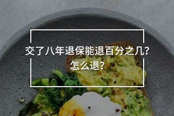 交了八年退保能退百分之幾