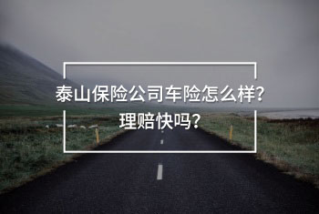 泰山保險公司車險怎么樣