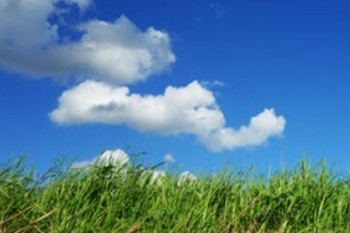 養(yǎng)老保險交滿15年后可以不交嗎
