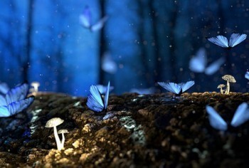 職工醫(yī)療保險交幾個月后才能用