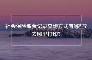 社會(huì)保險(xiǎn)繳費(fèi)記錄查詢