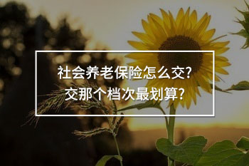 社會養(yǎng)老保險