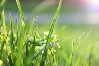 網(wǎng)上如何辦理退保？能退多少錢？