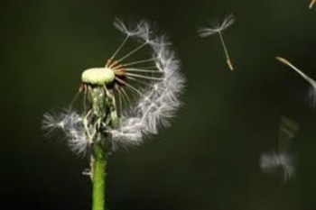 退保必須在當(dāng)?shù)赝藛?？退保的注意事項有哪些?/>
                                            </div>
                                        </a>
                                        <div   id=