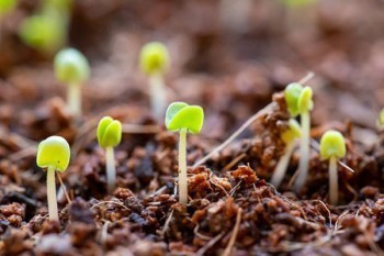 買哪個保險比較好？如何選擇適合自己的保險？