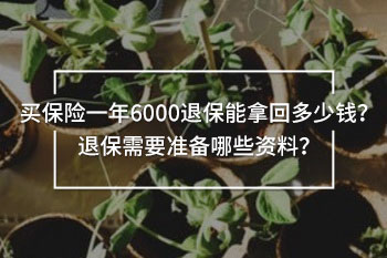 買保險一年6000退保能拿回多少錢？退保需要準備哪些資料？