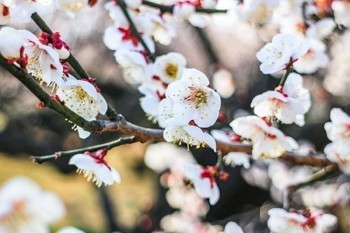 個(gè)人想買保險(xiǎn)怎么買？花多少錢合適？