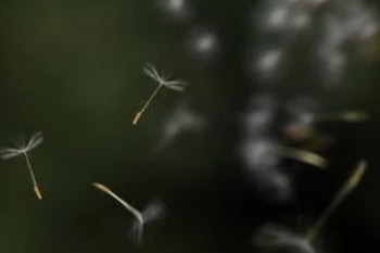 退保投訴電話