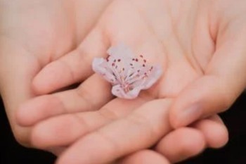 保險(xiǎn)交到期限能全額退嗎