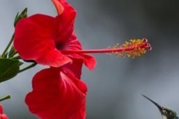 退保險(xiǎn)投訴電話