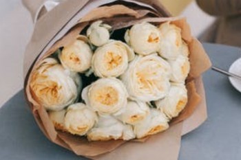 保險(xiǎn)公司讓退保怎么辦？怎么做可以減少退保損失？
