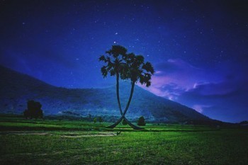 我想給自己買個(gè)保險(xiǎn)怎么買？有什么投保注意事項(xiàng)？