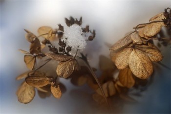 泰康萬(wàn)能險(xiǎn)退保能退多少錢(qián)？怎么退？