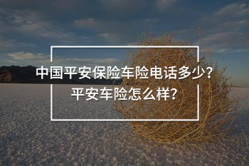 中國平安保險車險電話多少