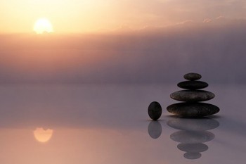 陽(yáng)光保險(xiǎn)可以退保嗎？可以退多少錢？