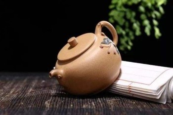 金瑞人生可以退保嗎？金瑞人生怎么退保劃算？