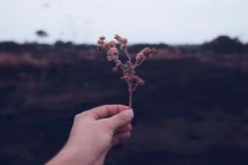 平安智能星保險(xiǎn)怎么退