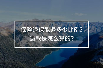 保險退保能退多少比例