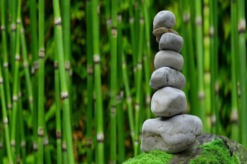 新華重疾險(xiǎn)退保損失大嗎？流程是什么？