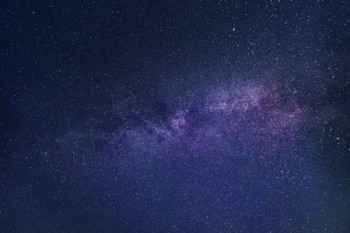 安鑫保可以退保嗎？怎么退？