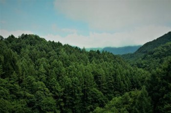 人保退保多久能到賬？會退多少錢？