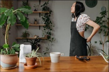人壽保險退保在哪里辦理？退保能退百分之多少？