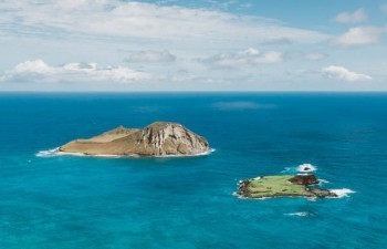 中國平安保險怎么退保