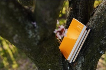 個人交養(yǎng)老保險一年交多少錢