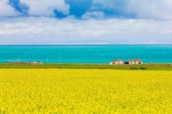 平安保險(xiǎn)怎么全額退保
