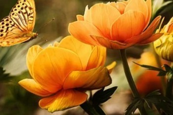 交20年的分紅險多久可以退保？退保有什么損失？