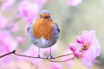 保險交了兩年8660能退多少錢