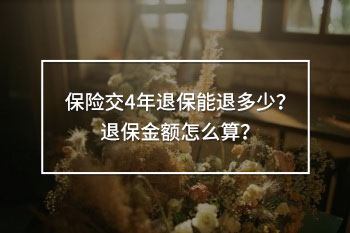 保險(xiǎn)交4年退保能退多少