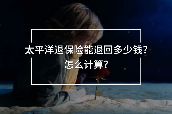太平洋退保險能退回多少錢