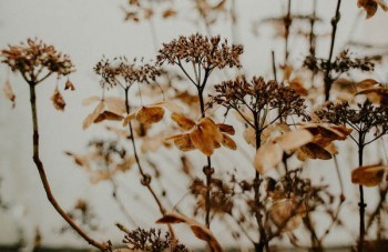 友邦保險(xiǎn)能退嗎