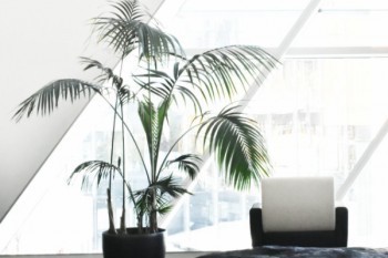 平安保險怎么在手機上退保險