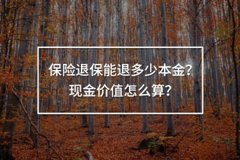 保險退保能退多少本金 現(xiàn)金價值怎么算