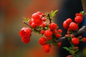 太平理財(cái)險(xiǎn)退保錢怎么算