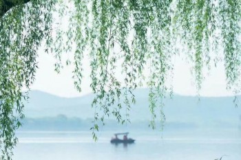 中國(guó)人壽康寧終身保險(xiǎn)退保怎么計(jì)算