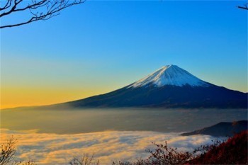 平安福四年退保能退多少錢